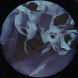 Animal Collective : Transverse Temporal Gyrus (12", EP, RSD, Ltd)