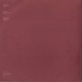 Troubleshooter : Disaster Recovery EP (12", EP)