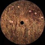 Slugabed : Time Team (2xLP, Album + 12", Ltd, Gre)