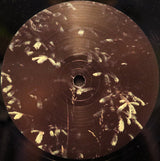 Slugabed : Time Team (2xLP, Album + 12", Ltd, Gre)