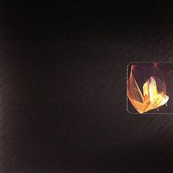 Endian : Birdhouse / DBPLT01 (12