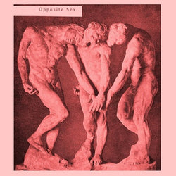 Opposite Sex : Opposite Sex (LP, 180)