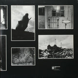 Pink Floyd : Animals (LP, Album, Gat)