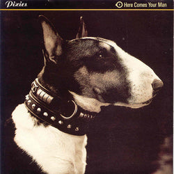 Pixies : Here Comes Your Man (12