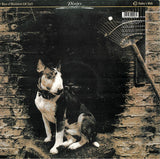 Pixies : Here Comes Your Man (12")