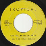 Theo Bijlhout : Set My Surinam Free (7")