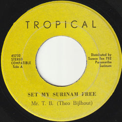 Theo Bijlhout : Set My Surinam Free (7