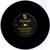 Peter Hammill : Painting By Numbers (7", Single)