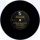Peter Hammill : Painting By Numbers (7", Single)