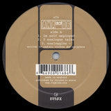 afx* : Analord 06 (12")