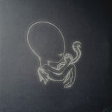 Sigur Rós : Ágætis Byrjun (2xLP, Album, RE, RM)