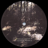 AFX* : Analord 08 (12")