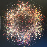 Gold Panda : Half Of Where You Live (2xLP, Album)