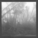 Eidetic Seeing : Against Nature (LP, Album)