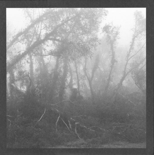 Eidetic Seeing : Against Nature (LP, Album)