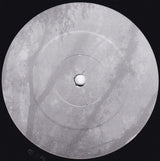 Eidetic Seeing : Against Nature (LP, Album)