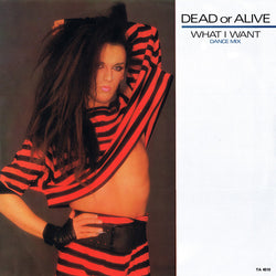 Dead Or Alive : What I Want (Dance Mix) (12