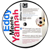 Eddy Meets Yannah : Shamed (Domu Remix) (12")