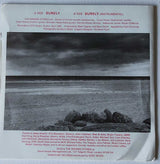 The Wishing Stones (2) : Surely (7")