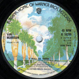 Van Morrison : Warm Love (7", Single)