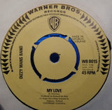 Dizzy Man's Band : Tickatoo (7")