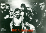 The Alsatians (2) : 5 Honours And A 175 (7")