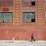 Joel Gion : Apple Bonkers (LP)