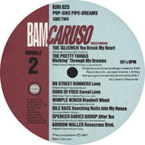 Various : Pop-Sike Pipe-Dreams (Rubble Two) (LP, Comp)
