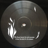 Mono (7) : You Are There (2xLP, Album)