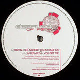 Digital Kid / Aftermath (2) : Nobody Likes Records / You Got Me (12")
