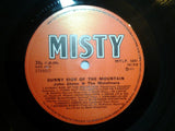 John Glenn And The Mainliners : Sunny Side Of The Mountain (LP, Album)