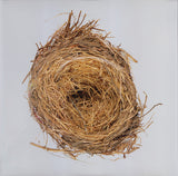 Wilco : A Ghost Is Born (2xLP, Album, RE, Gat)