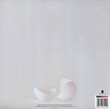 Wilco : A Ghost Is Born (2xLP, Album, RE, Gat)