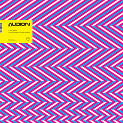 Audion / Ellen Allien : Just A Man / Just A Woman (12