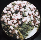 Patricia (50) : Bem Inventory (LP, MiniAlbum)