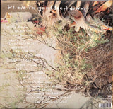 Kurt Vile : B'lieve I'm Goin (Deep) Down... (3xLP, Album, Ltd)