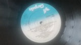 Rory Gallagher : Top Priority (LP, Album)
