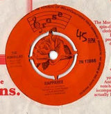 The Kinsellas : Slaney Valley (7", Single)