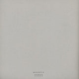 Sleeparchive : Hospital Tracks (2x12")