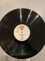 Hothouse Flowers : People (LP, Album)