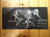 Scientist (8) : 10100II00101 (2xLP, Album, Ltd, Gre)