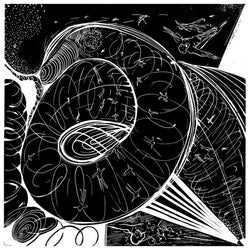 Different Fountains : Organism 4 (12