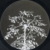 Gabriel Ananda : Bambusbeats (2x12", Album)