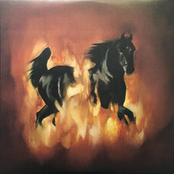 The Besnard Lakes : The Besnard Lakes Are The Dark Horse (LP, Album)