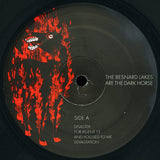 The Besnard Lakes : The Besnard Lakes Are The Dark Horse (LP, Album)