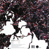 Pikaya : Kambrium (12")