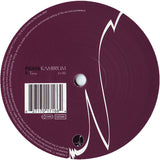 Pikaya : Kambrium (12")