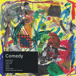 Stupid Son - Comedy (Cassette)