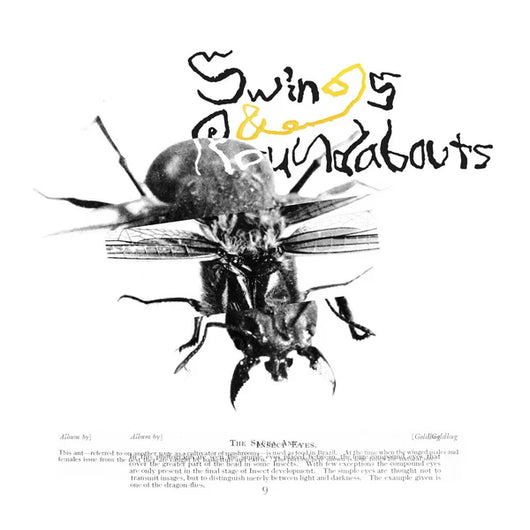Goldbug - Swings & Roundabouts (LP)
