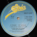 Meat Loaf : Meat Loaf In Europe 82 (12", Single)